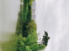 -长兴太湖图影湿地文化园