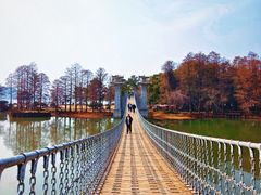 -东湖落雁景区