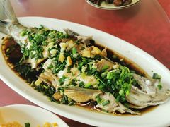 -宾湖农庄·农场特色(太湖龙之梦店)