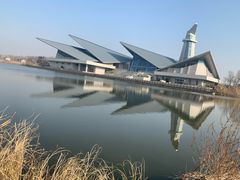 -盐城丹顶鹤湿地生态旅游区