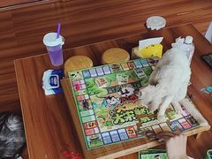 -楼上猫咖(罗湖店)