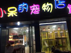 -小呆的宠物店·宠物售卖·宠物寄养(城西店)