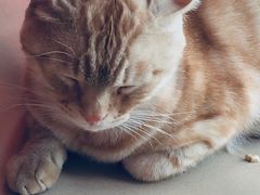 -胡椒猪肚汤(康王店)
