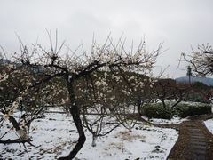 -白马涧龙池景区
