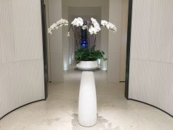 -奥斯芬欧系贵族SPA