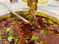 -高坎一品甲鱼庄(两河店)