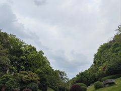 -桃花岭景区