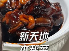 -吉士·星座 JISHI CONSTELLATION(新天地店)