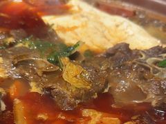 -杨氏青龙虾·羊蝎子(托乐嘉店)