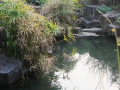 -苏州上方山国家森林公园