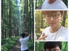 -黄海国家森林公园