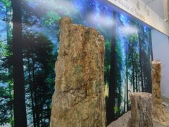 -延庆地质公园博物馆