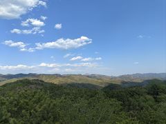 -磬锤峰森林公园