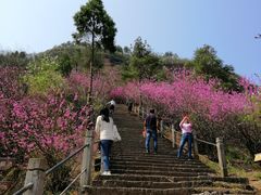 -天台山赤城山景区