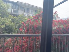 -怡得观滇餐厅·地道昆明菜·1996(海埂大坝店)