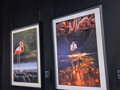 -罗红摄影艺术馆