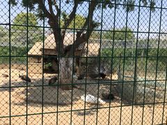 -武汉紫薇都市田园