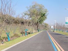 -羊山湖公园