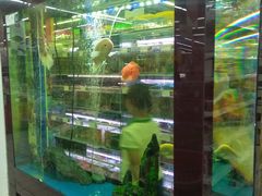 -欧尚(扬州商城江阳中路店)