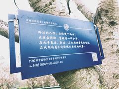 -复旦大学光华楼