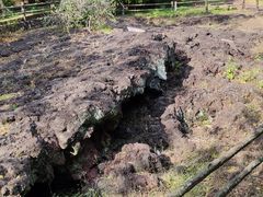 -海口火山口国家地质公园