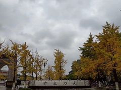 -四川大学(江安校区)