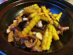 芦笋牛肝菌-伙靠·江浙菜(田林路店)
