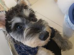 -怪兽屋·羊驼·猫咖·狗咖(俊华广场店)