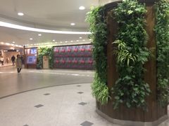 -阪急百货店(梅田总店)