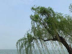 -东钱湖小普陀景区