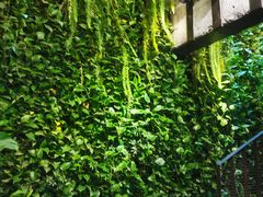 -外婆家(杭州马塍店·杭帮菜名店)