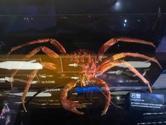 -同济大学四平路校区深海探索馆