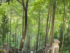 -金堂县云顶石城风景区