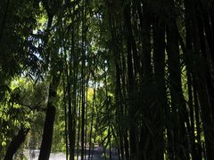 -新竹里馆·花园餐厅(兴苑路店)