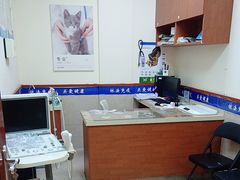 -艾贝尔宠物医院·狂犬免疫点(江山金象城店)