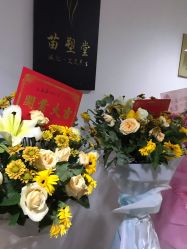 -苗塑堂减肥·艾灸