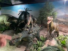 -国家自然博物馆