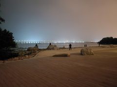 -宝安西湾红树林湿地公园