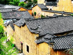 -杨家堂村