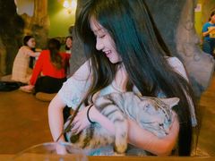 -猫猫幼稚园·撸猫·桌游·电玩