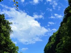 -华蓥山天意谷景区