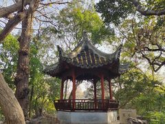 -秋霞圃