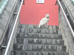 -大钟寺古钟博物馆