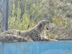-青藏高原野生动物园