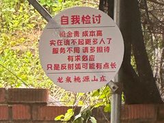-桃源山庄·水蜜桃采摘·柴火鸡·烧烤团建(龙泉山店)