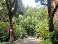 -之江大学-旧址