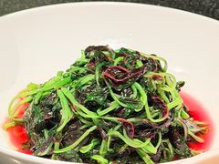 -晶采轩(虹桥路店)