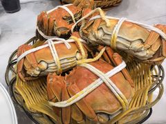 -蟹天蟹地农家菜·阳澄湖大闸蟹(浅水湾店)