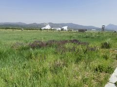 -敕勒川草原