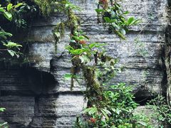 -梭布垭石林景区